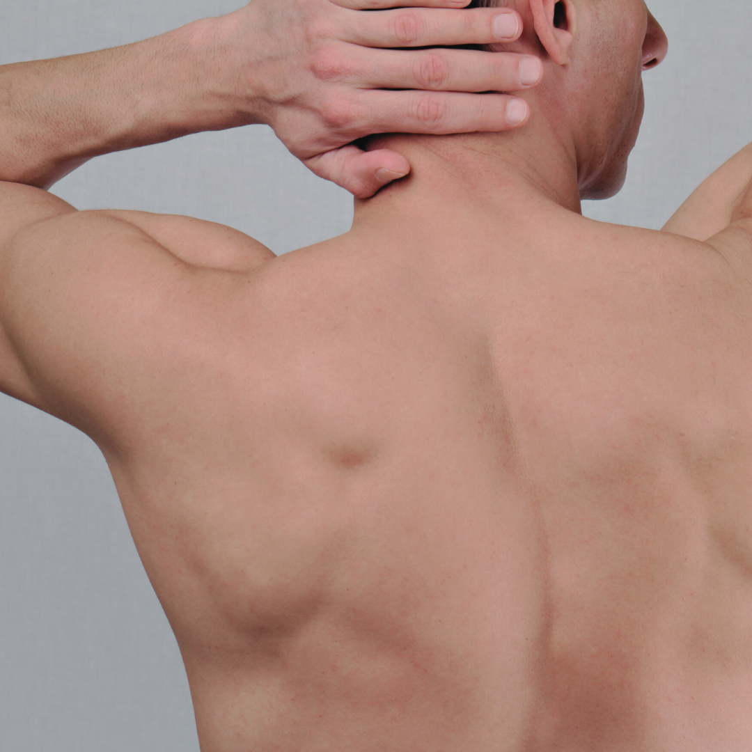 Back & Chest Wax Image